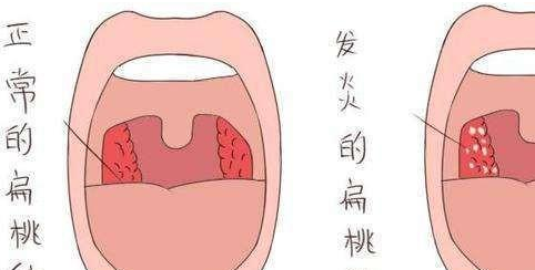 微信截圖_20181205145419.png